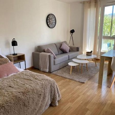 Studio 33 M2 , Climatise, Parking Exterieur Prive Gratuit Amélie-les-Bains-Palalda Buitenkant foto